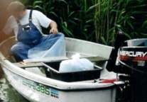 S udsttes der gedder.