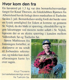 En af Knuds flotte havrred fra serne.