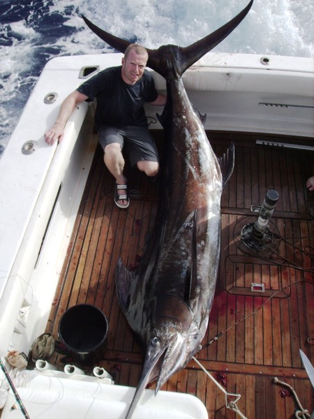 Marlin var hvad vi egentlig kom for.