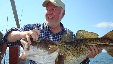 - Arnes smukke sommertorsk -