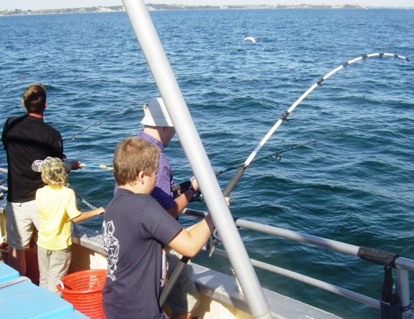 Det kaldes flex p klingen...