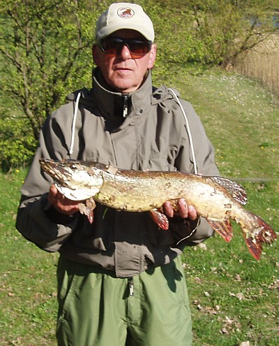 - 1 x Knud og Gedde -