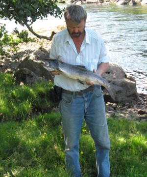 Men en enkelt bekrfter vel ogs, at man kan det.