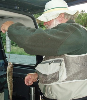Vr forsigtig med Fjsingen, den stikker...
