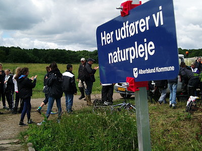 Vi forbedrer fiskenes forhold i St. Vejle 