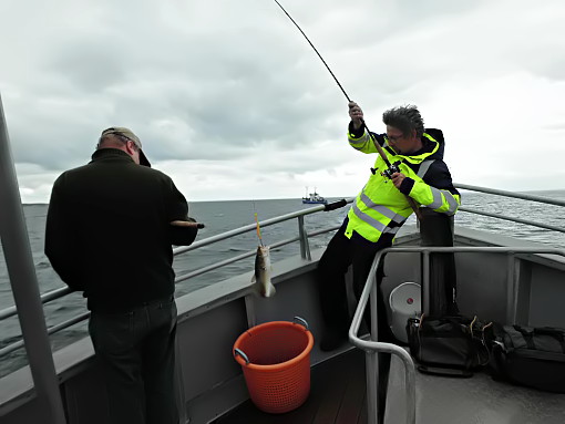 Flemse alias Flemming fighter og lander torsk..